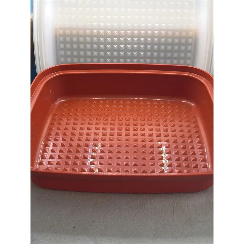 Tupperware Season 'N Serve Meat Keeper Marinade Container w/Lid Paprika 1294-6
